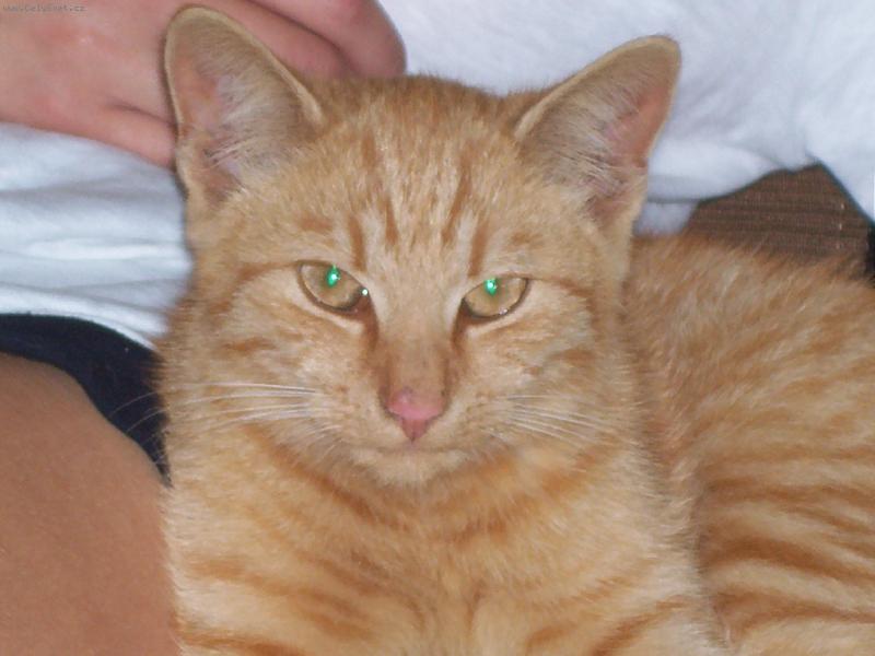 Foto: George-Po ob�dku