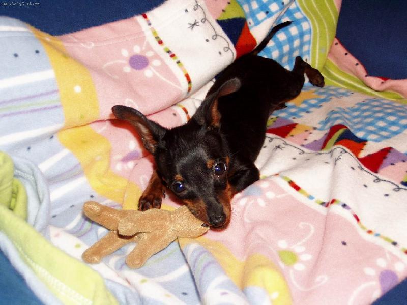 Foto: nejkr�sn�j�� v�k