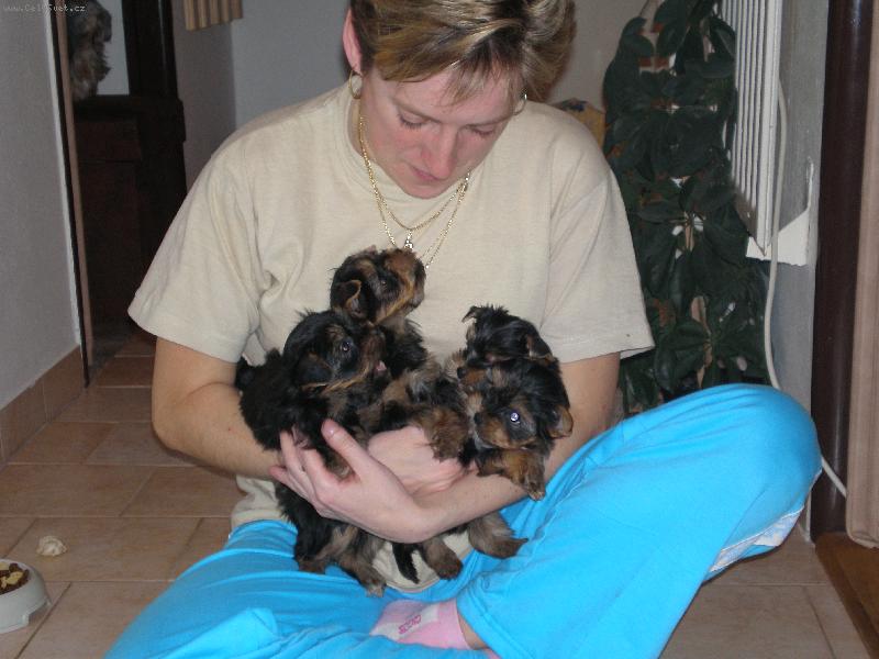 Foto: Na�i ro���ci