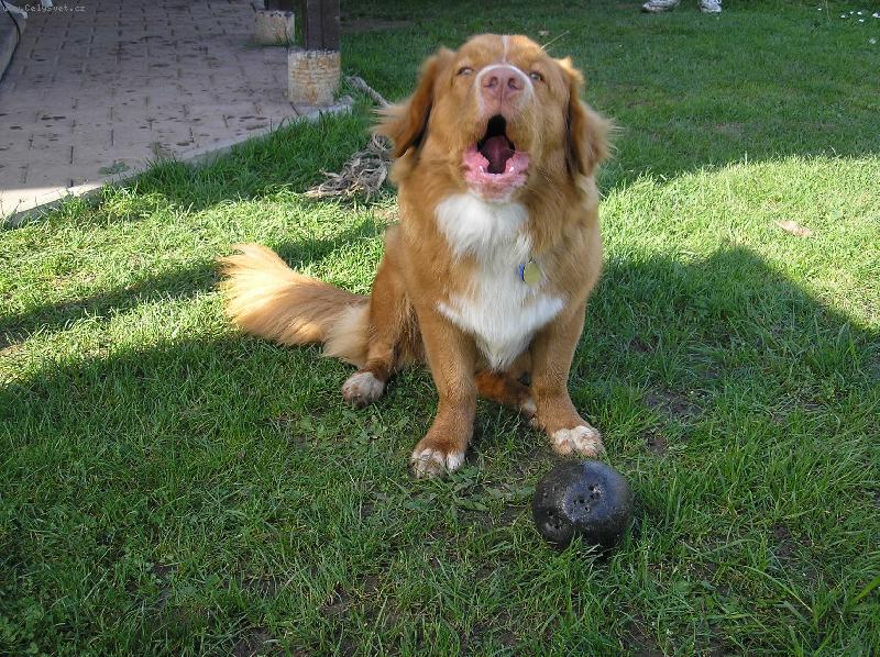 Foto: �e j� t� vy�t�k�m