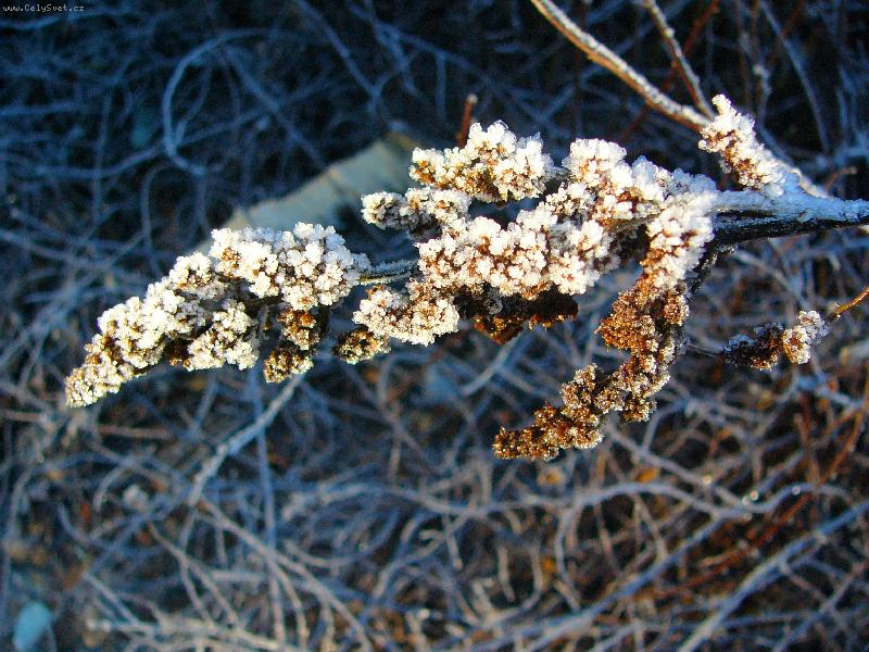 Foto: Drabet jsem omrzla