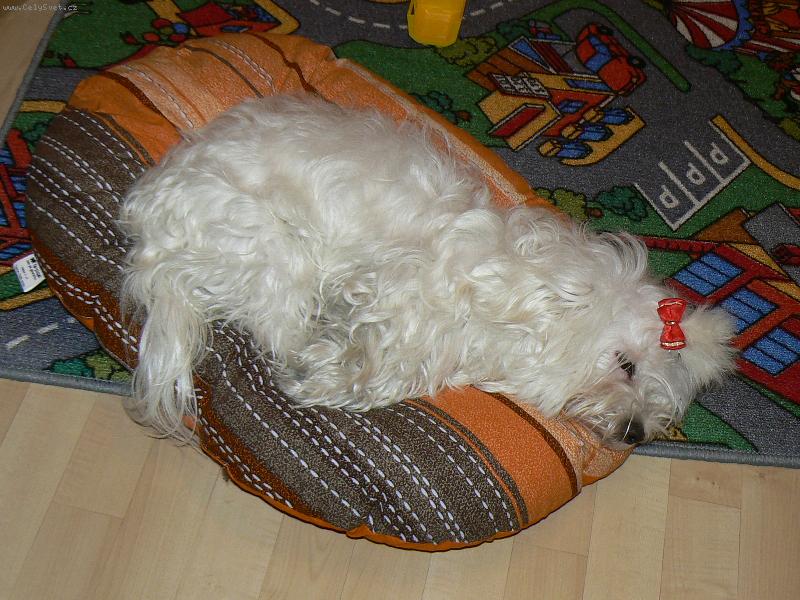 Foto: Viano�n� �nava