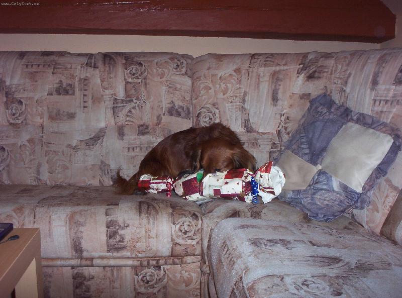 Foto: Maxik-j�� m�j d�re�ek