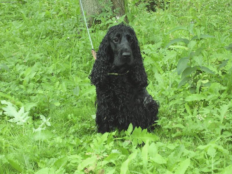 Foto: J� chci je�t� do vody!!