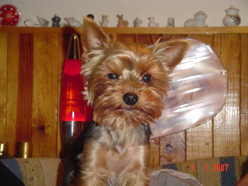 Foto: Albert-agent 007