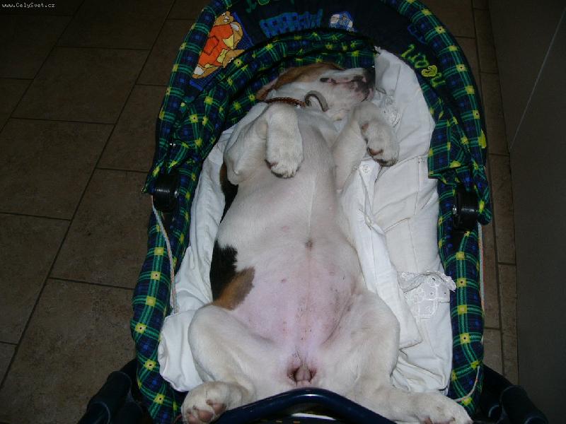 Foto: Dcery nov� panenka