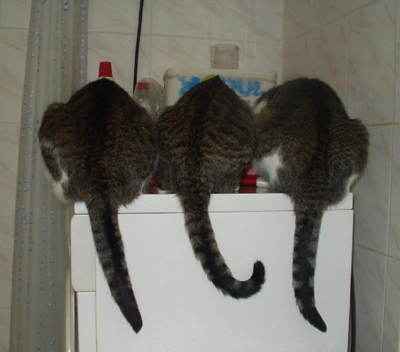 Foto: MOUREK- VE�E�E