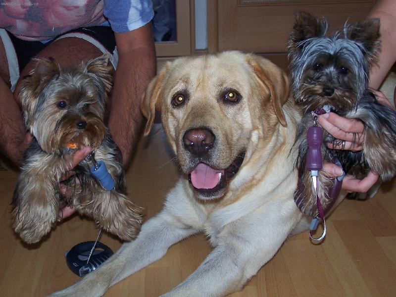 Foto: Chiko, Bad�k, S�ra-kuk