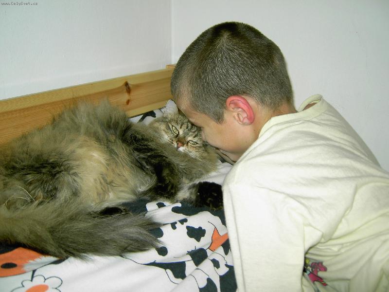 Foto: ko�ka velmi dom�c� :-)