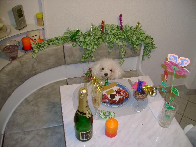 Foto: �ek�m na ��n�ka-a� u� p�ijde chci si je�t� n�co objednat