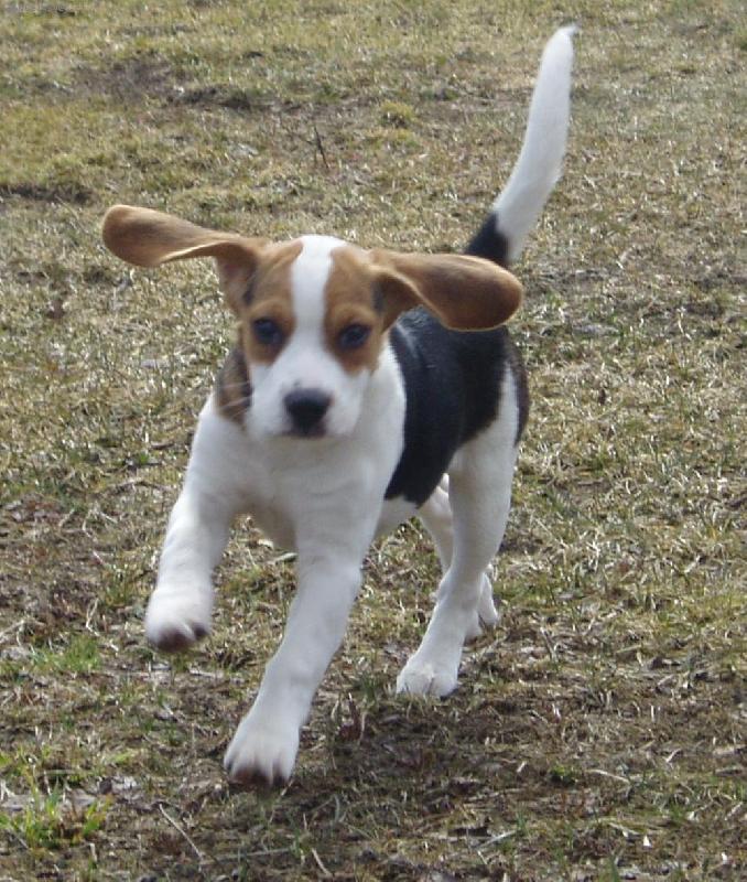 Foto: Plach���ek-no comment :o)