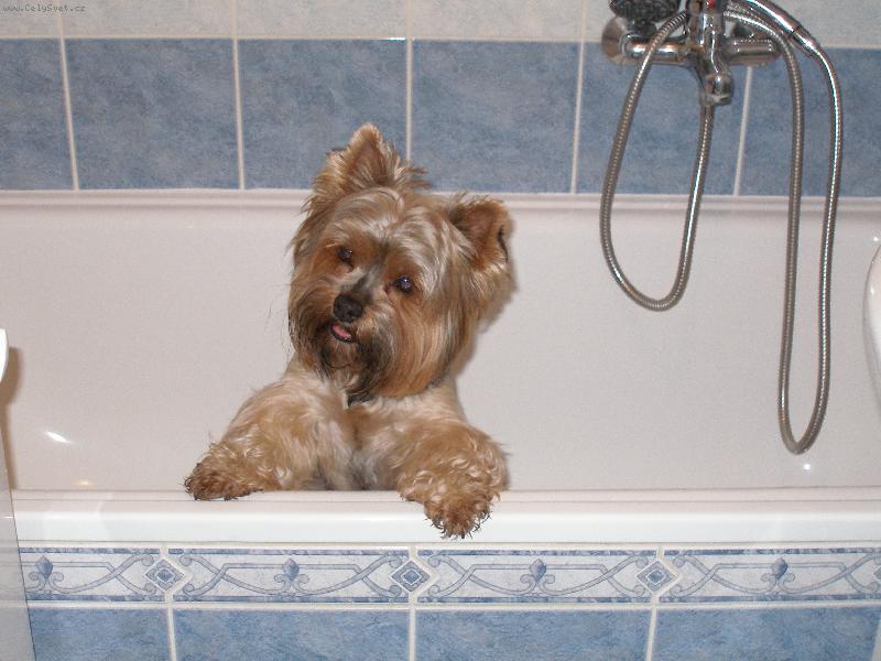 Foto: Ketty-Koup�n�