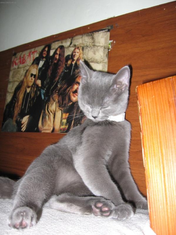 Foto: �ikul�na