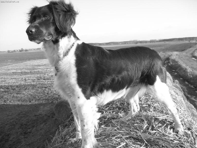 Foto: Margaret-m� p�ehled absolutn� nad v��m:)