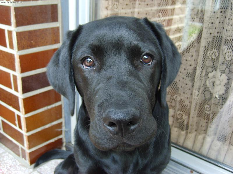 Foto: Chces mi n�co ��ct??