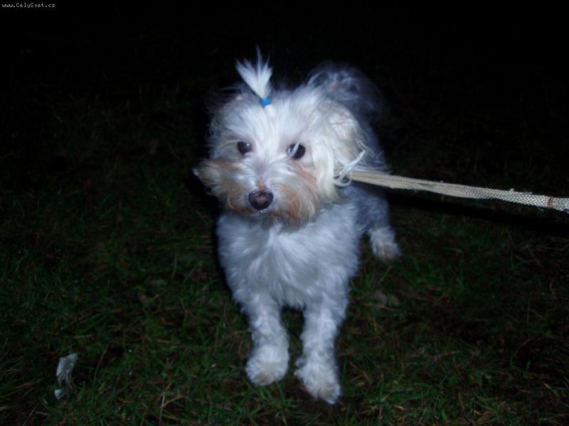 Foto: Barunka na proch�zce