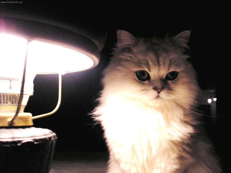 Foto: Mat�sek s lampou