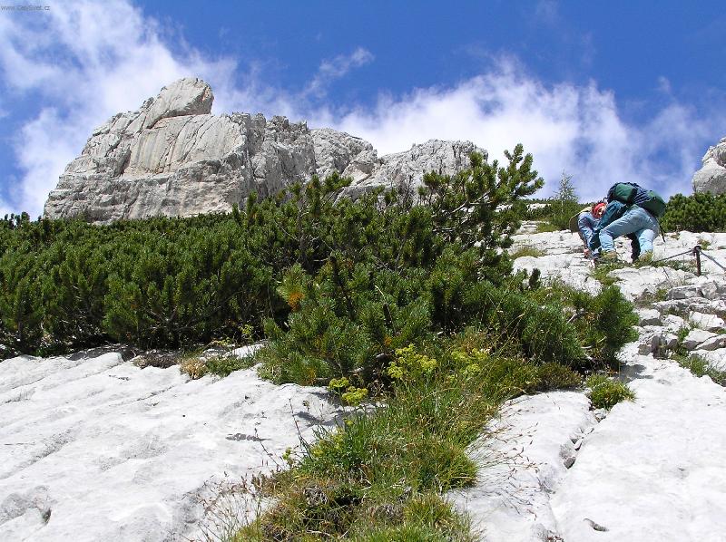 Foto: Kamnick� Alpy