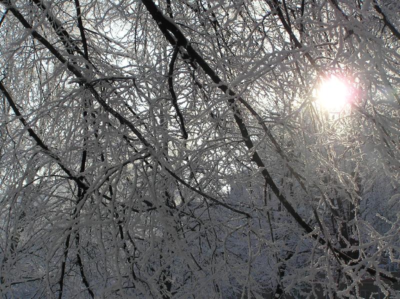 Foto: Zimn� slun��ko