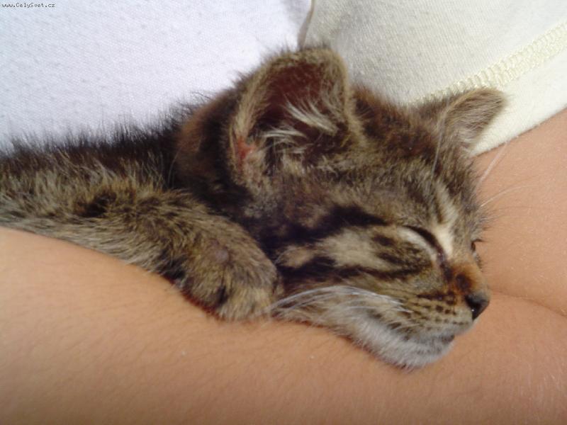 Foto: Pohoda kl�dek tab��ek