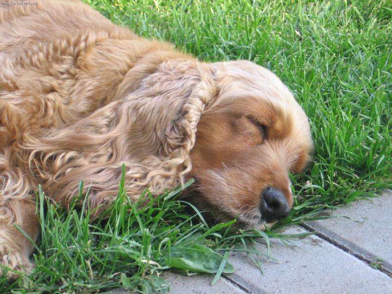 Foto: Betynka-Sp�m, neru�it!