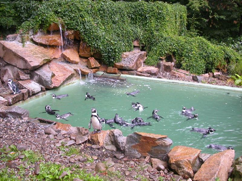 Foto: Tu���ci-Na str�i