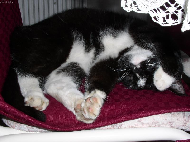 Foto: �nava-Nechte m� sp�t