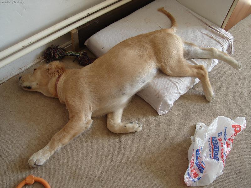 Foto: Takhle sp�m j� a Ty?