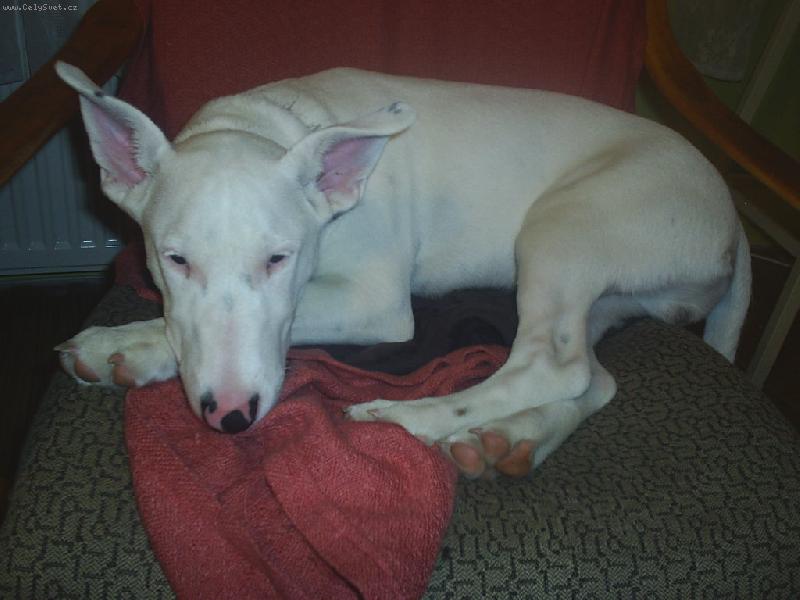 Foto: Danny-Nebu� m�...