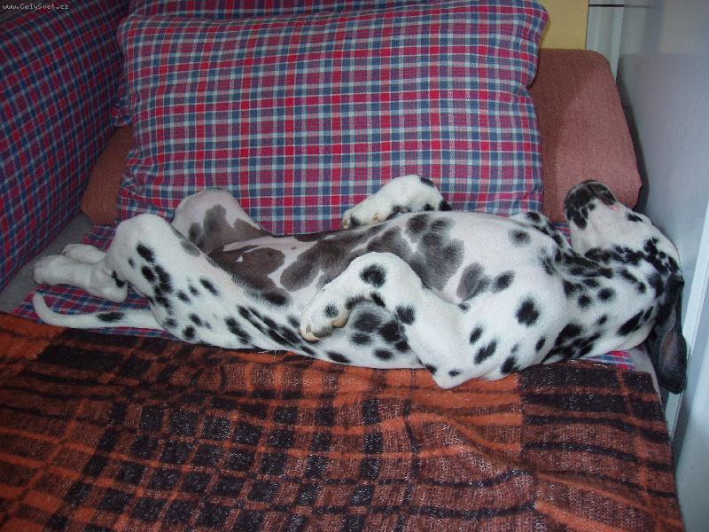 Foto: Nen� nad dobr� sp�nek.