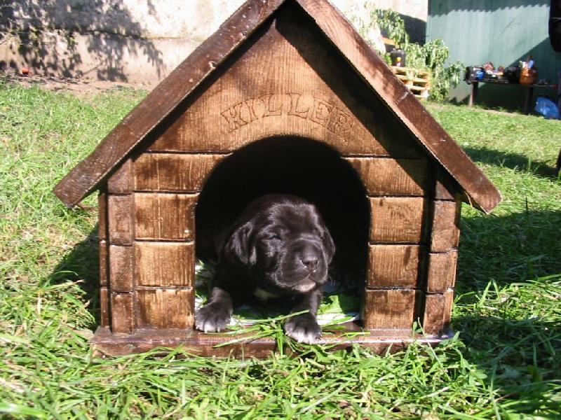 Foto: n� �t�n�k-miminko