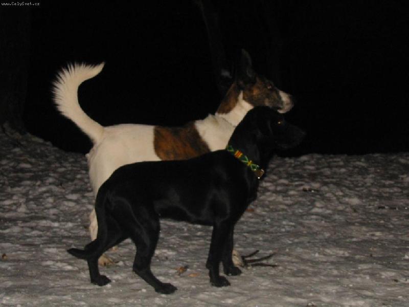 Foto: Sena a Bu�a-man�el�