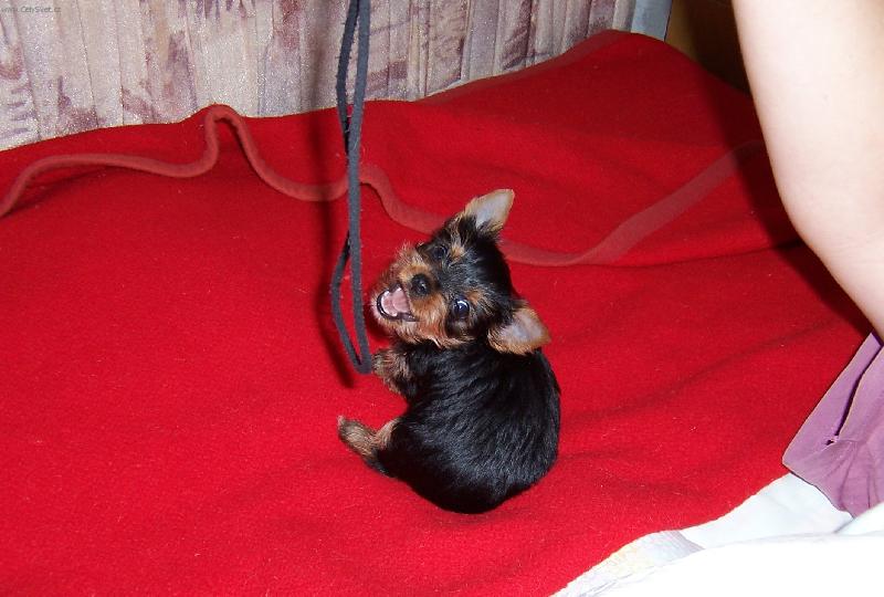 Foto: Sendy-Mal� obran��