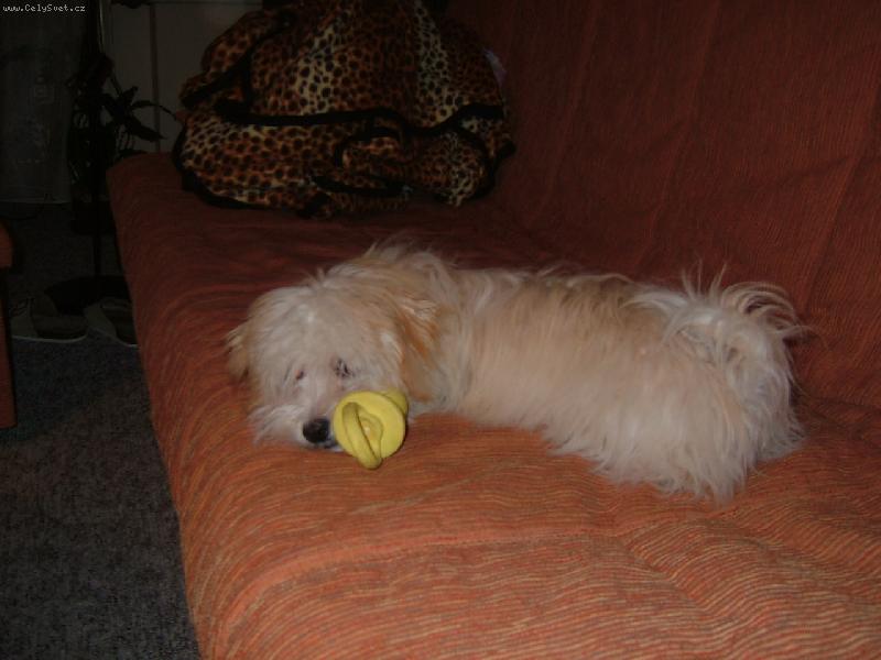 Foto: tak jsem hodn�