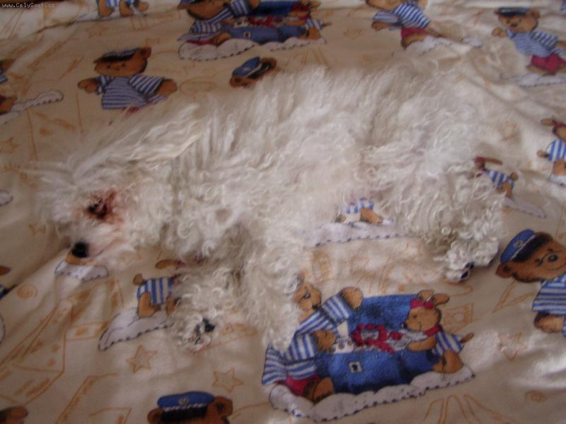 Foto: n�n� spink�m