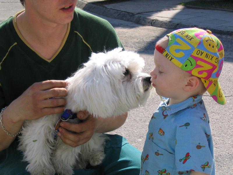 Foto: lacky-sladk� polibek