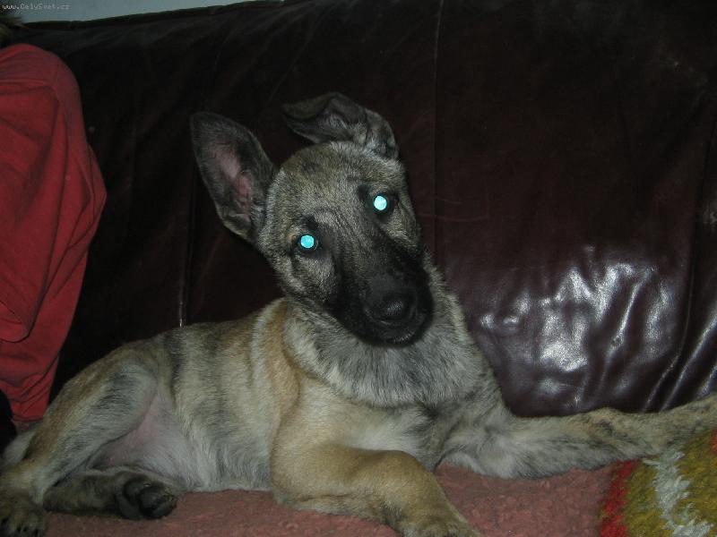 Foto: Co to d�l�???-Carmenka