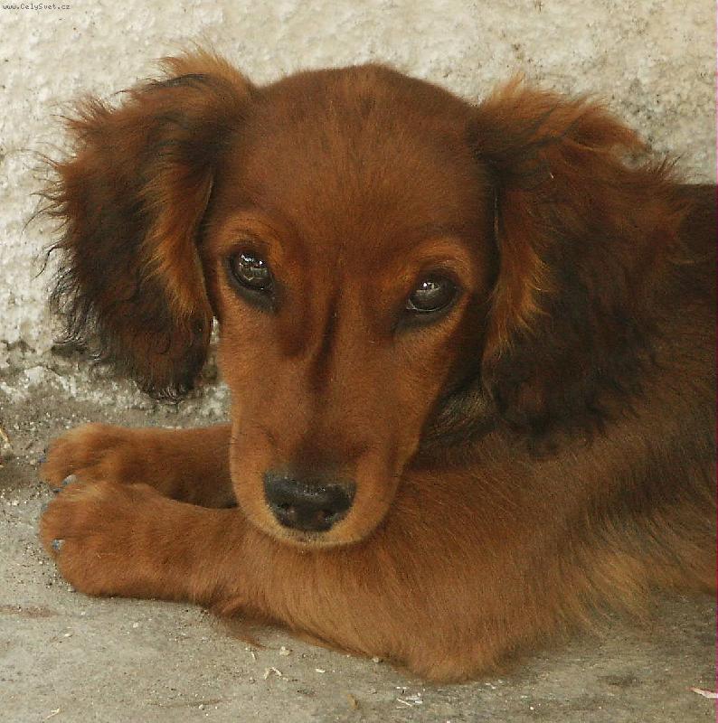 Foto: Na�e Betinka