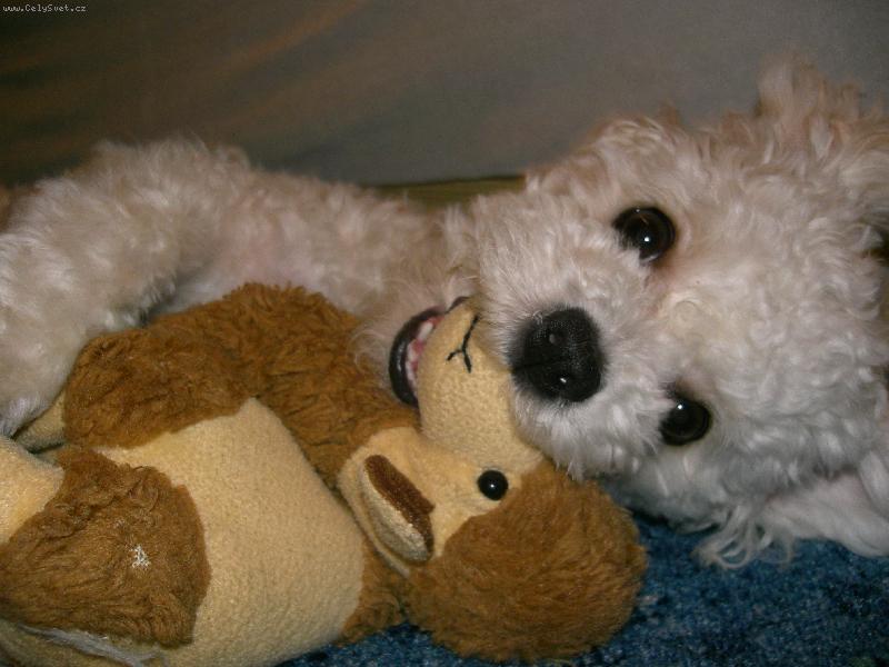 Foto: hra s ply��kem