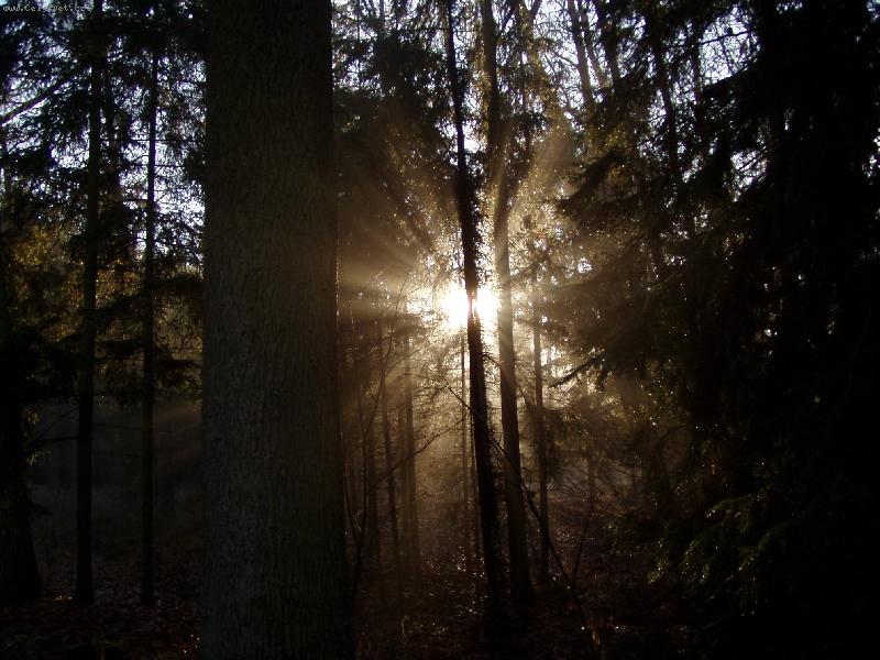 Foto: Probuzen�............