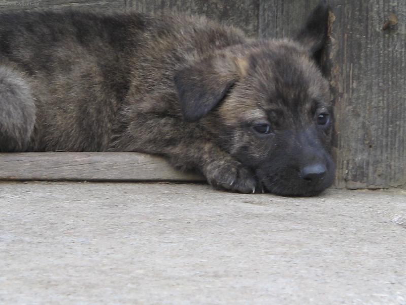 Foto: �as j�t sp�t....