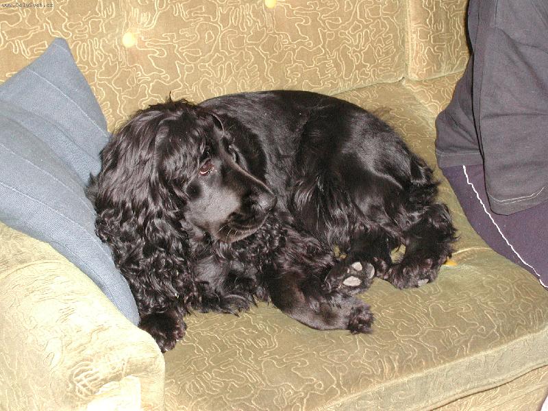 Foto: �oupni se, nem�m tu m�sto