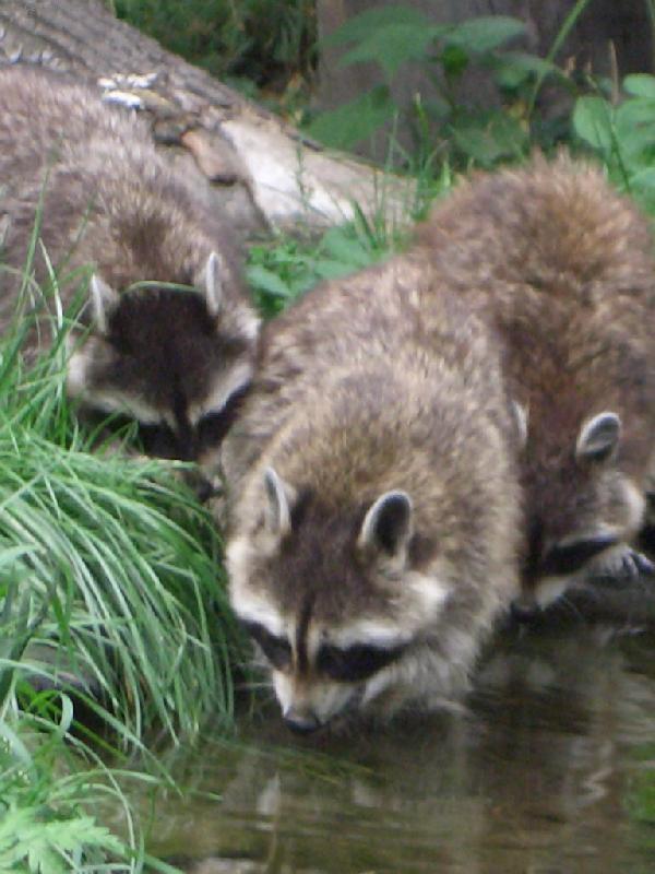 Foto: M�val� rodinka