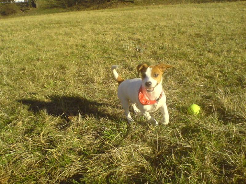 Foto: Jessynka a m��ek-�sm�v :-)