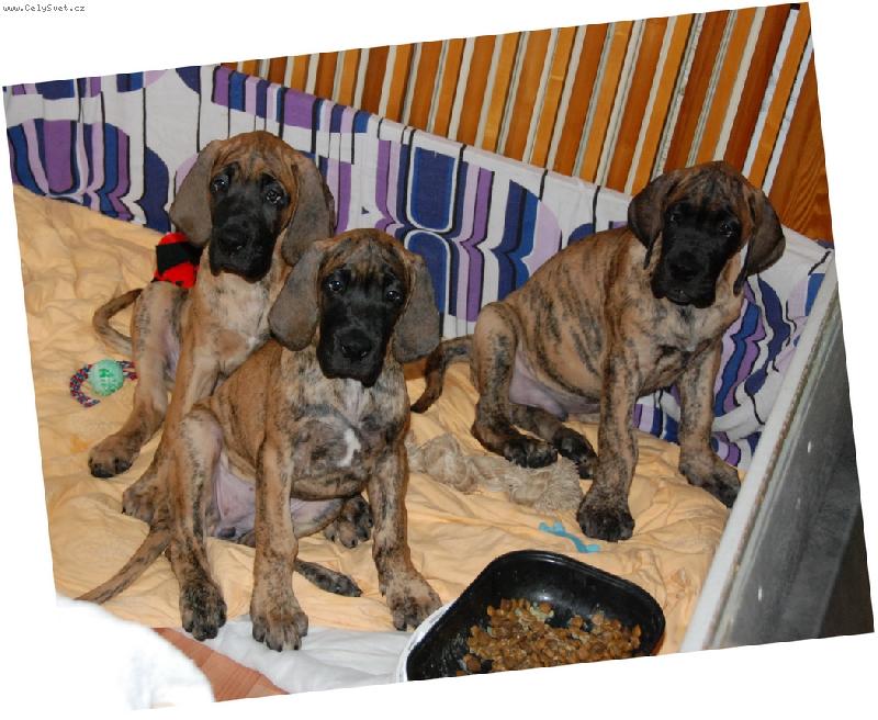 Foto: ��han� nad�lka