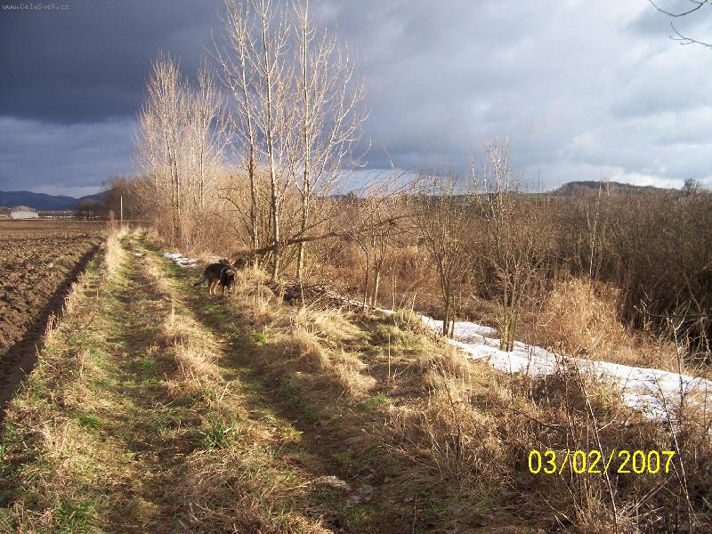 Foto: Prost� kr�sa....-Lipov� v �noru :-)))