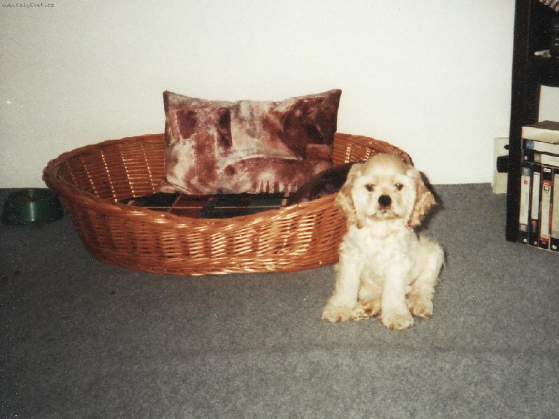 Foto: Akou�-To je moje m�sto