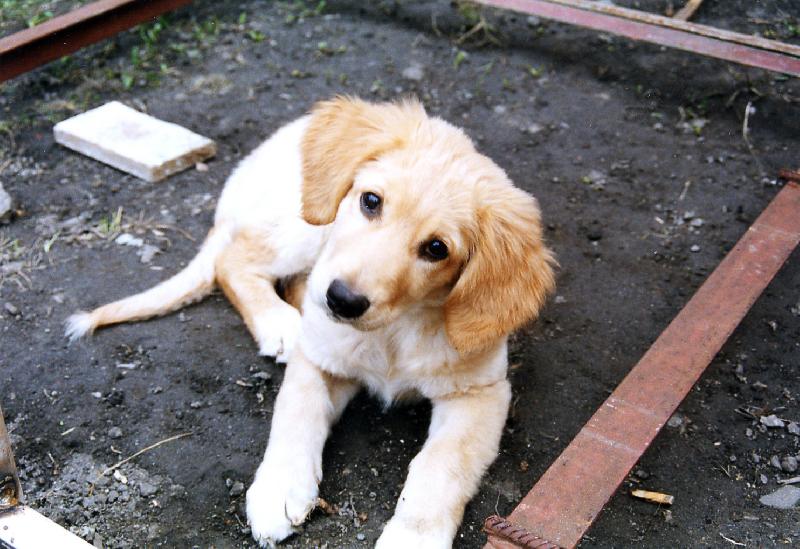 Foto: Tady chci boudi�ku