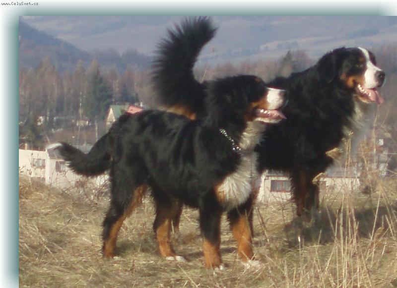 Foto: Moji ber��ci-Dago a Bernadetta