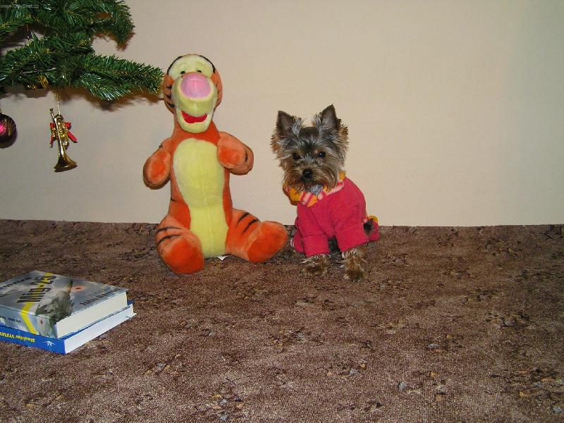 Foto: Ax��ek-M�j kamar�d tyg��k